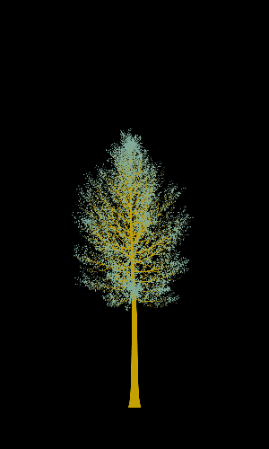 Treee