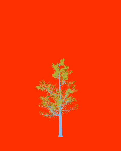 Treee