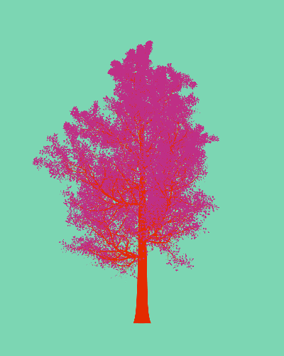 Treee