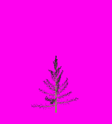 Treee