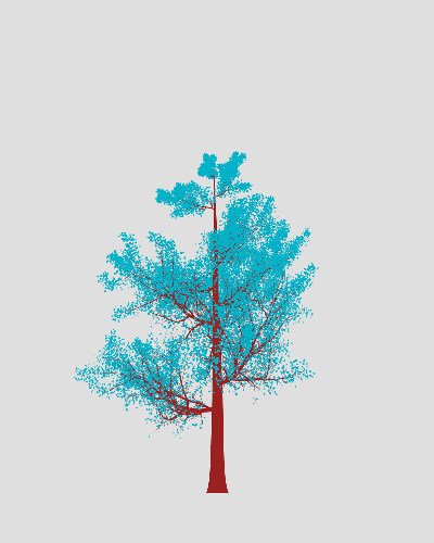 Treee
