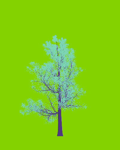Treee