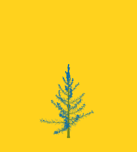 Treee