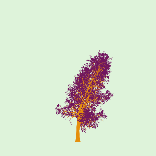 Treee