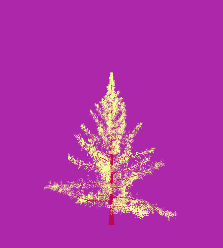 Treee