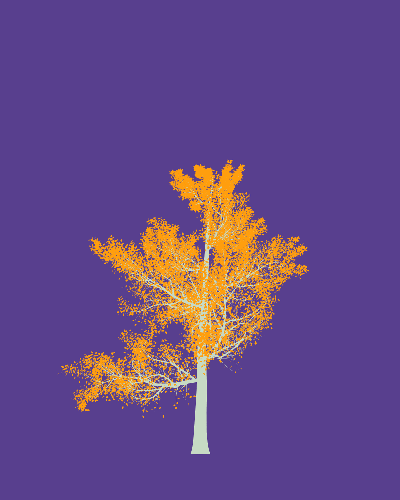 Treee