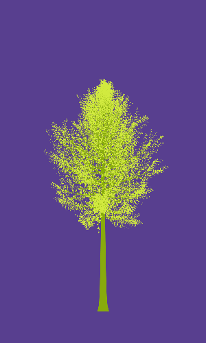 Treee