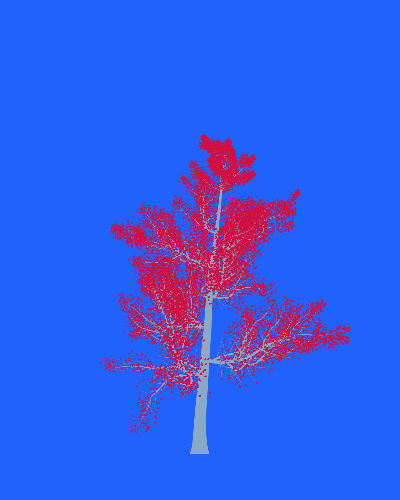 Treee