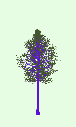 Treee