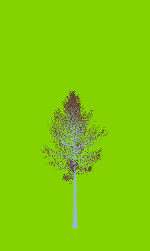 Treee