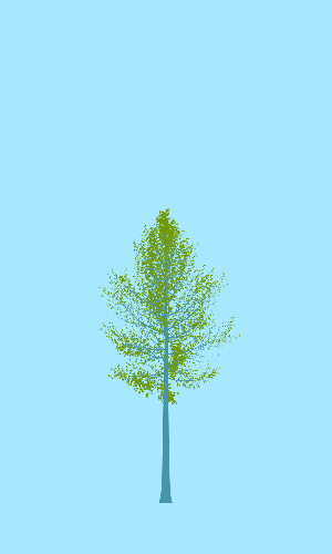 Treee