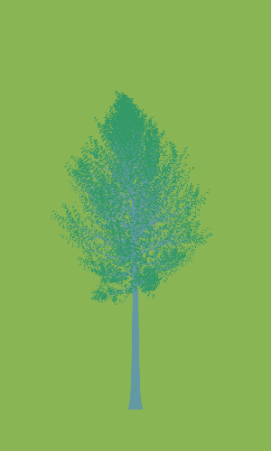 Treee