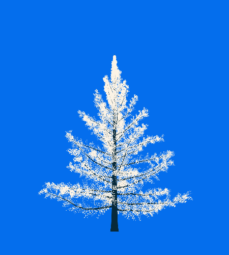 Treee