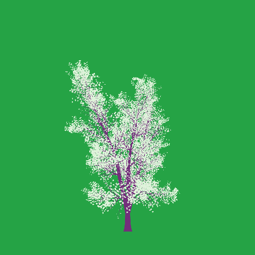 Treee