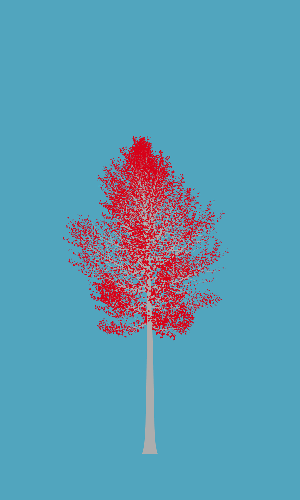 Treee