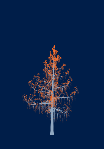 Treee