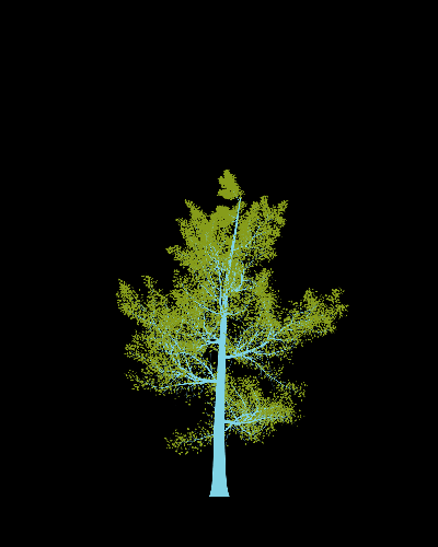 Treee