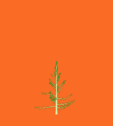 Treee