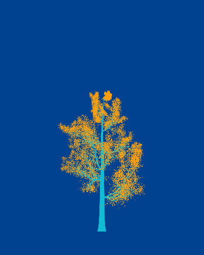 Treee
