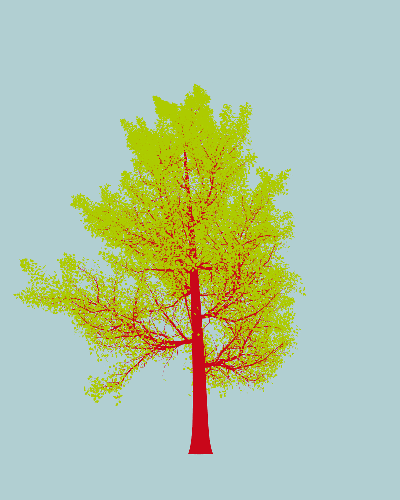 Treee