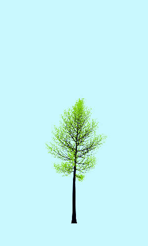 Treee