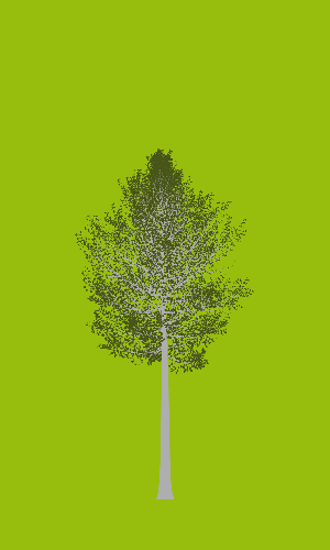 Treee