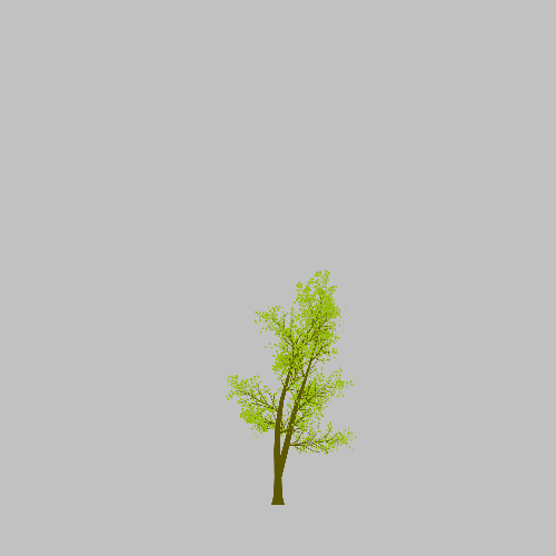 Treee