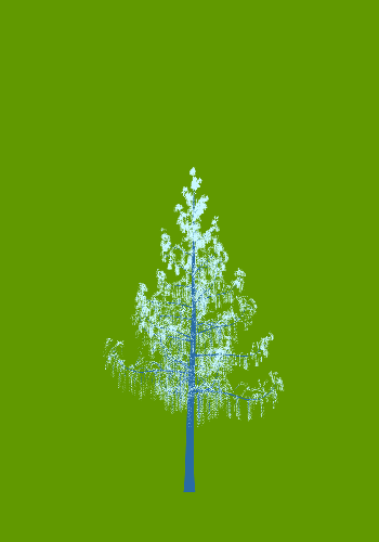 Treee