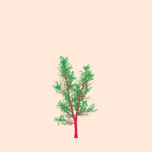 Treee