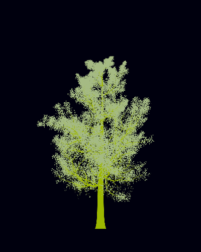 Treee