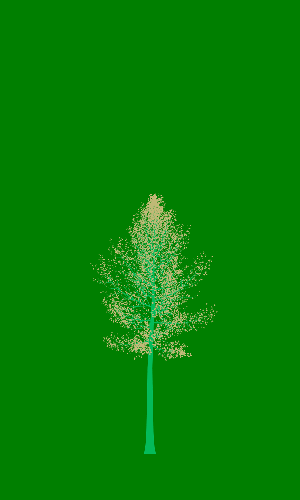Treee