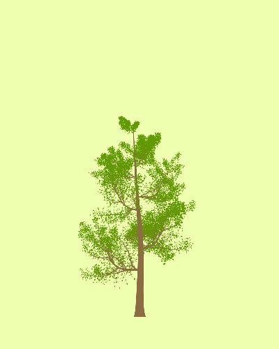 Treee