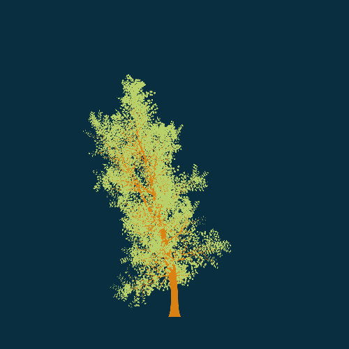 Treee