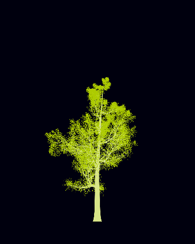 Treee