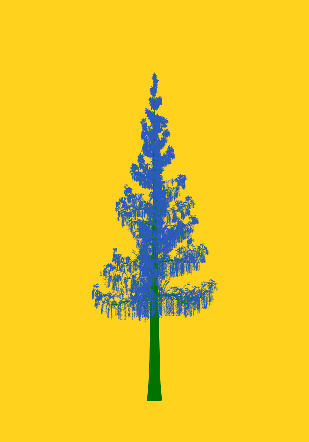 Treee