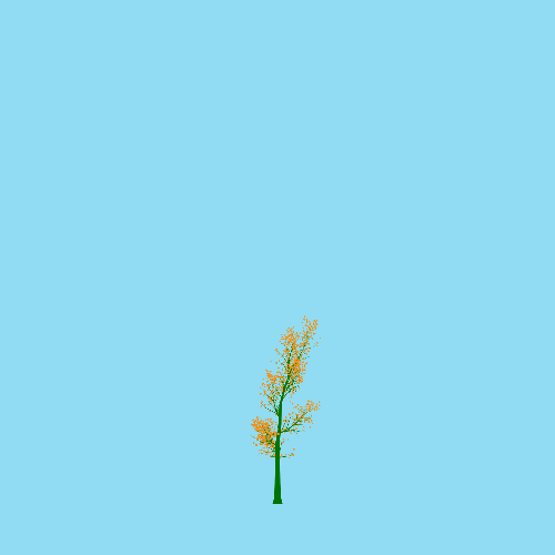 Treee
