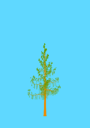 Treee