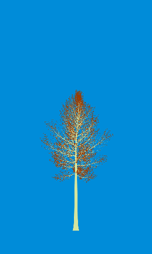 Treee