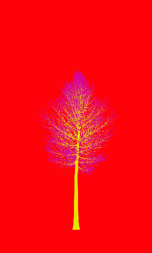 Treee