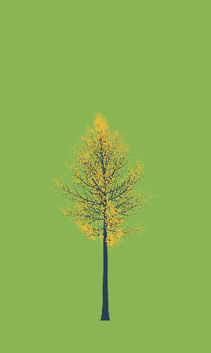 Treee