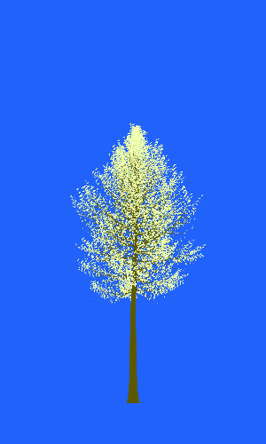 Treee