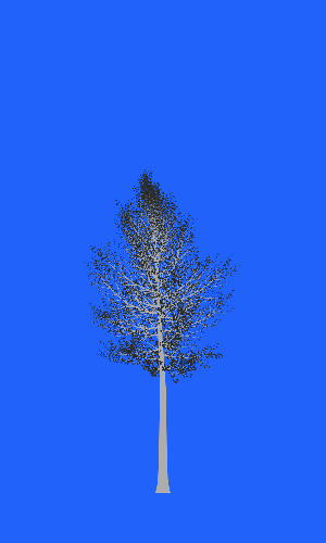 Treee