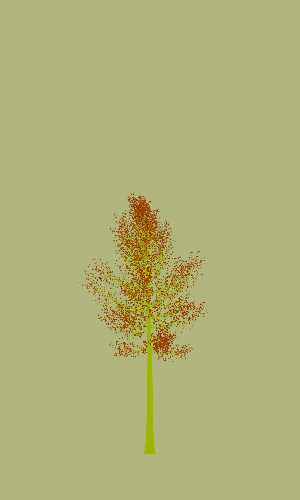 Treee