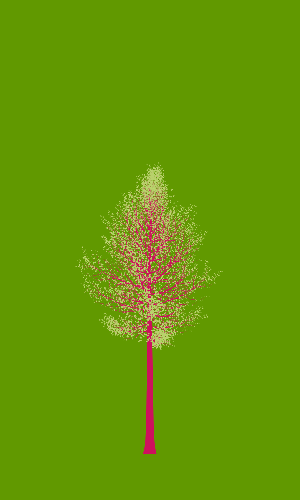Treee