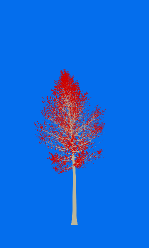 Treee