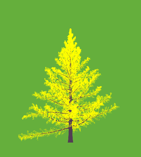Treee