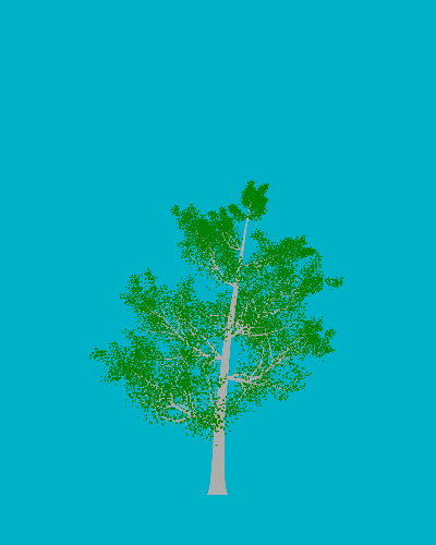 Treee