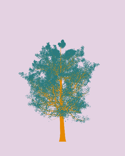 Treee