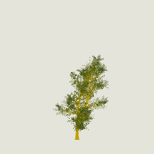 Treee