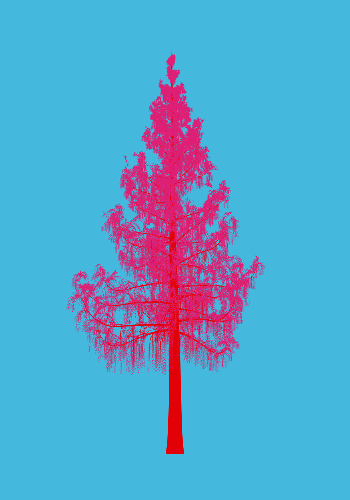 Treee